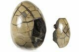 8.3" Septarian "Dragon Egg" Geode - Removable Section - #203813-2